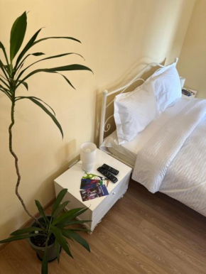 Green ToniC Hostel